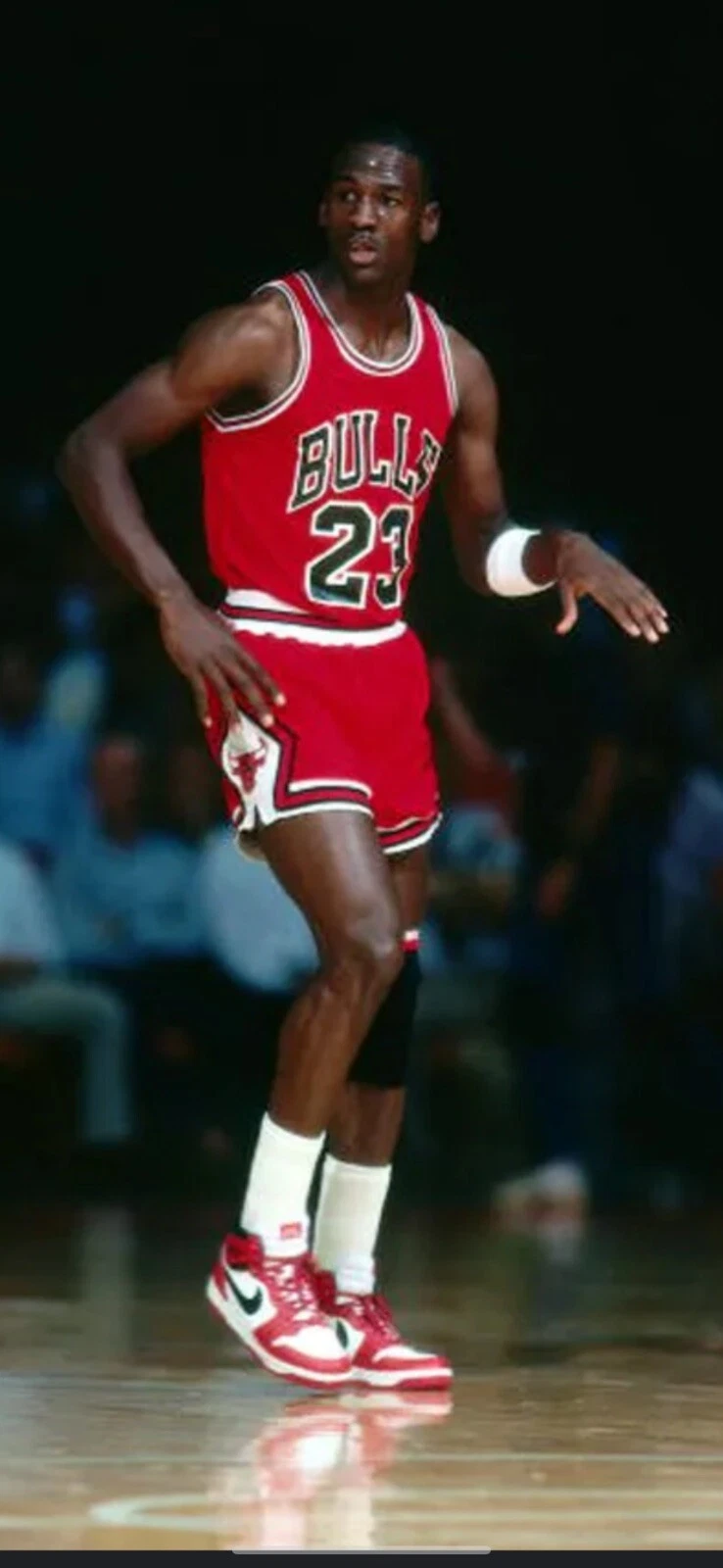 Michael Jordan Dual Autographed 1985 Nike Air Jordan 1 Sneakers – Chicago Bulls - Image 8